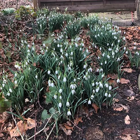 Haus Am Reithmoor Hébergement de vacances Grossefehn