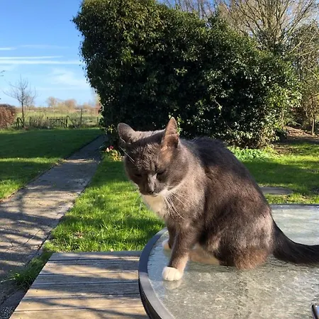 Haus Am Reithmoor * Grossefehn