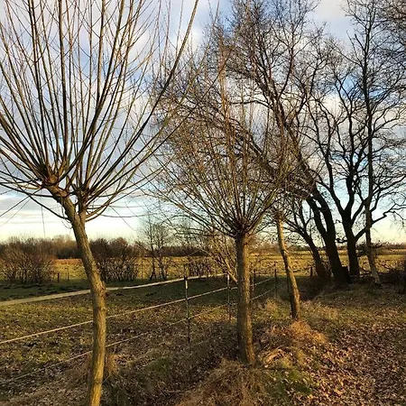 Haus Am Reithmoor Grossefehn