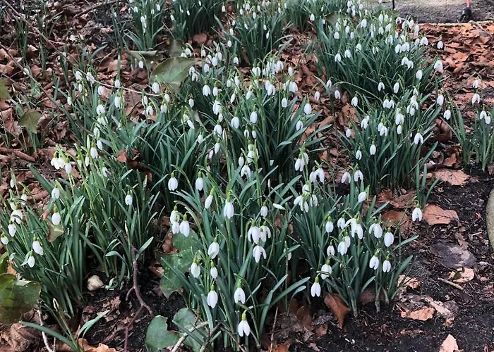 Haus Am Reithmoor 度假居 Grossefehn