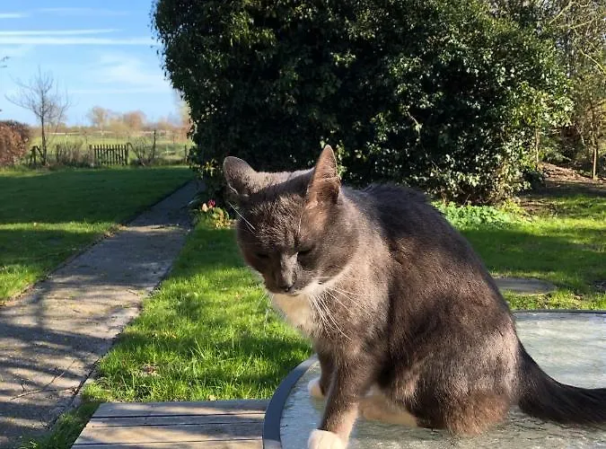 Haus Am Reithmoor * Grossefehn