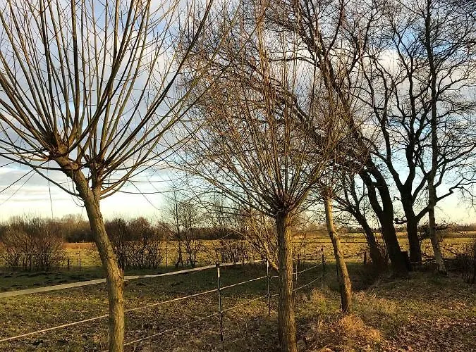 Haus Am Reithmoor Grossefehn