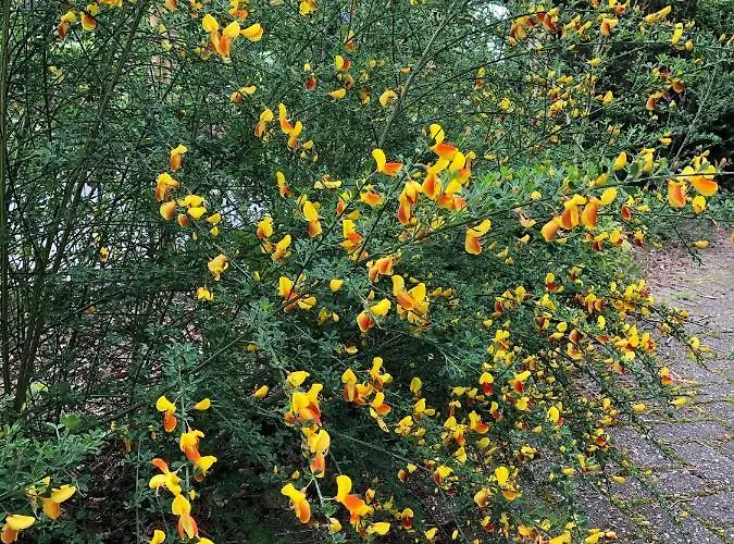 Haus Am Reithmoor Vakantiehuis *